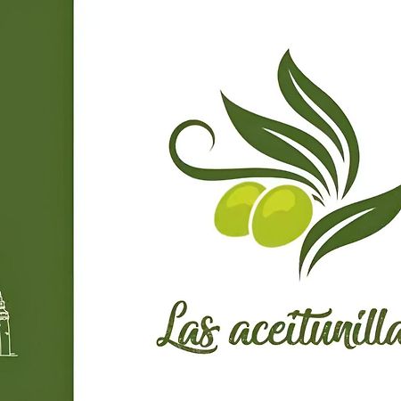 Apartamento Turistico Las Aceitunillas Ubeda  Bagian luar foto